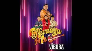 VIBORA - LUCIO S&Aacute;NCHEZ Y NARANJA MIX