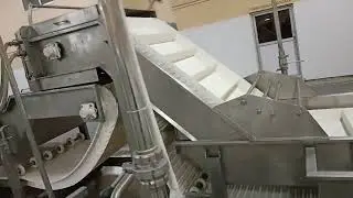 Frozen green peas processing plant in India.
