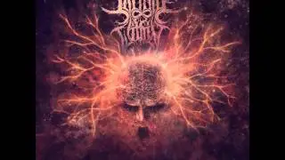 THE INFINITE WITHIN - Implosion Resonance // Released on Rising Nemesis Records