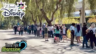 A Touch of Disney Grand Opening Day! Crowds, Fun with Friends & More!