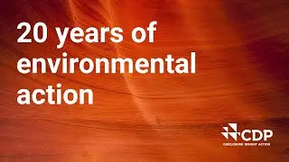 Celebrating 20 years of CDP: Driving disclosure, insight and action