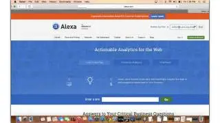 Mca's Top Earner Formula trial - Traffic