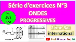 serie d'exercices N°3 ondes progressives 2 Bac
