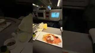 Fly with #turkishairlines #istanbul #businessclass #turkish #travel #shorts