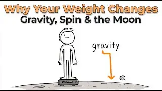 Why Your Weight Changes Daily: Gravity, Spin & the Moon