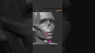 Last Day To Join My Anatomy Course... #zbrush #anatomy