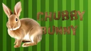 Chubby Bunny Challenge!!   Armatron D