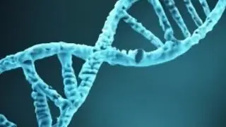 Lecture 2: Genes & Crime (Neuropsychology of Criminal Behavior, Spring 2024)