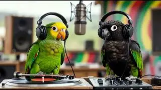INVISIBLE SUPPLY 🌞 Soulful Reggae Journey (1 Hour) - Gentle Jogging & Healing Flow