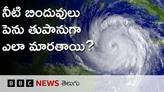Cyclone Montha: నీటి బిందువులు పెను తుపానుగా ఎలా మారుతాయి? BBC Telugu