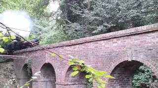 Torry Hill Railway, 20th Sep 2014