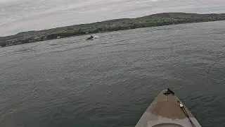 Dolphins & Dirty Water @Magilligan Point