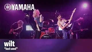 увядание | &laquo;плохое семя&raquo; | Yamaha Pacifica SC Standard Plus | Производительность