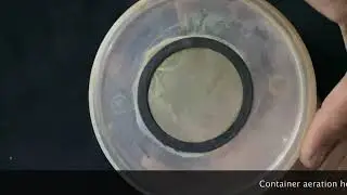 Insect rearing in container: demonstration of rearing of immature stages into adults