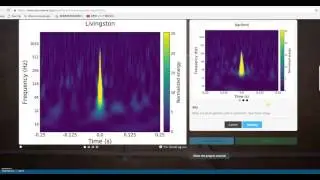 Zooniverse