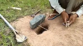 Easy Simple Parrot Trap Using Hole & A Big Stone