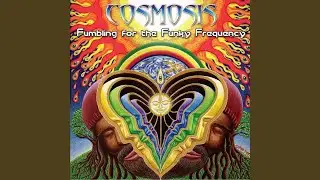Beguiling Illusions