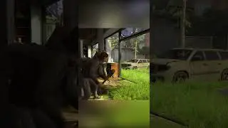 Ellie's Stealth & Aggressive Hunting