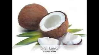 Top 10 Coconut Producing Countries