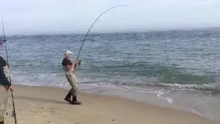 Catching Albies at Wasque Oct 2017