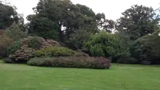 The Savill Garden, Windsor Great Park