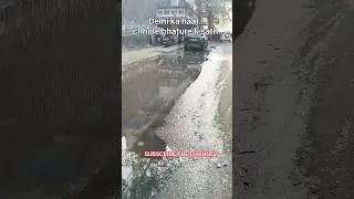 Delhi| Moti Nagar| Shree Ram Chhole Bhature| #cholebhaturae #delhipollution #ytshorts #trending