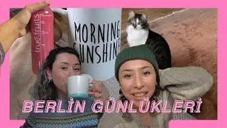 Berlin Günlükleri | Konsolosluk işleri, Yeni kedimiz ❤️, 90 euro market alışverişi