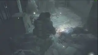 Resident Evil 2 Remake Speedrun-Leon(Hunk)-Claire(Lady Hunk)-Mr X(Nemesis)-Ada(Alibi)-Hardcore-56:04