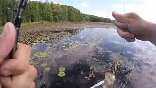 Return to the Upper Peninsula and the Cisco Chain of Lakes part 6-The Last Day