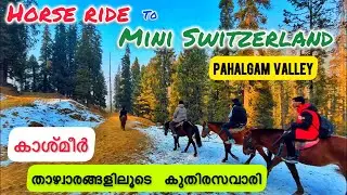 PAHALGHAM | KERALA-KASHMIR TRIP VLOG-3Exploring the valley of Kashmir|കാശ്മീർ താഴ്വാരങ്ങൾക്കിടയിലൂടെ