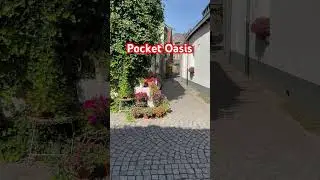 Maastricht Secret Courtyard &mdash; Tiny Oasis in the City