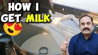 How I Get Fresh Milk Every Day | My Daily Routine
