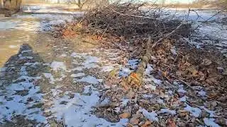 Not cemetery related but my next home project.
