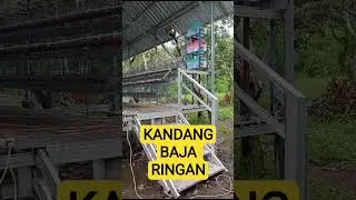 KANDANG FULL  BAJA RINGAN#kandang #pertenakan #hamermill #ayam #hopper
