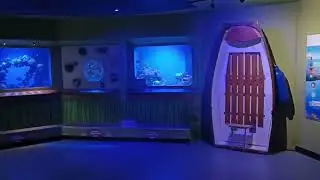 Playing Two Point Museum in an Aquarium