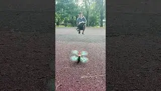 что то пошло не так