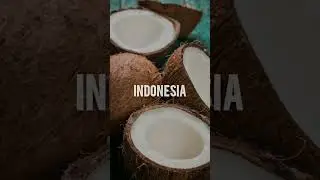 Coco Java Global The Leading Supplier of Coconut Product