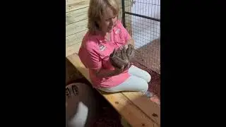 Chase Sanctuary