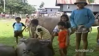 Indonesien Torajaland