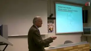 Macroeconomic developments, monetary policy and crisis in Croatia - Dubravko Radošević