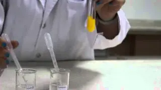 CHEMISTRY: Test for iodide using lead(II) nitrate