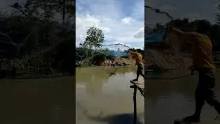 Amazing ! This is how to throw net fishing trap #traditional #shorts # fishing trap #professional