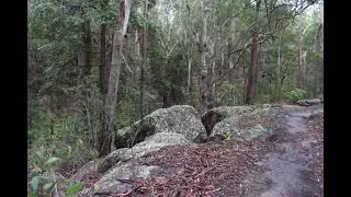 Peter Meadows walk