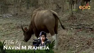A Jewel Called Kanha  - A film by Navin M Raheja