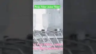 Washing Pulp Filler Juice Filler Capper Machine 4 in 1.