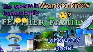 Feather Family- exposing secret places and safe codes