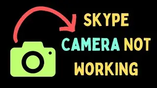 How to Fix Skype Camera Not Working in Windows 11