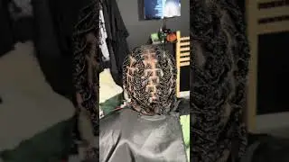 Two Strand Starter Locs😍 #locs #hairstylist #wicks #batonrouge #viralvideo #shorts #luxuryhairhaven