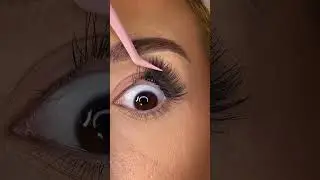 Найдите нас на Amazon, введя в поиск &laquo;prolashbeauty&raquo;. #lashes #amazon #prolashbeauty #linkinbio