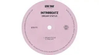 Intr0beatz - Dream Status